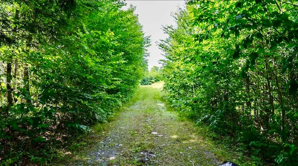$1,350,000 | 10 Phoebe Island Road, Bowerbank, ME 04426