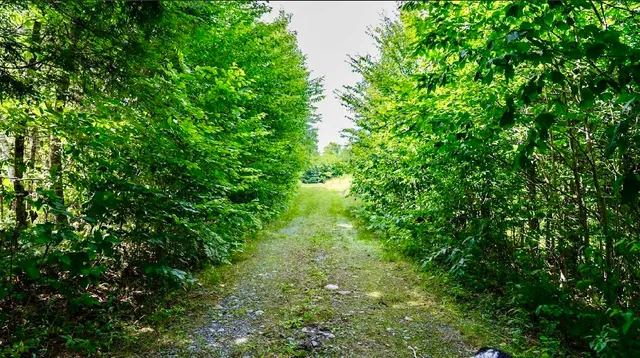 $1,350,000 | 10 Phoebe Island Road, Bowerbank, ME 04426