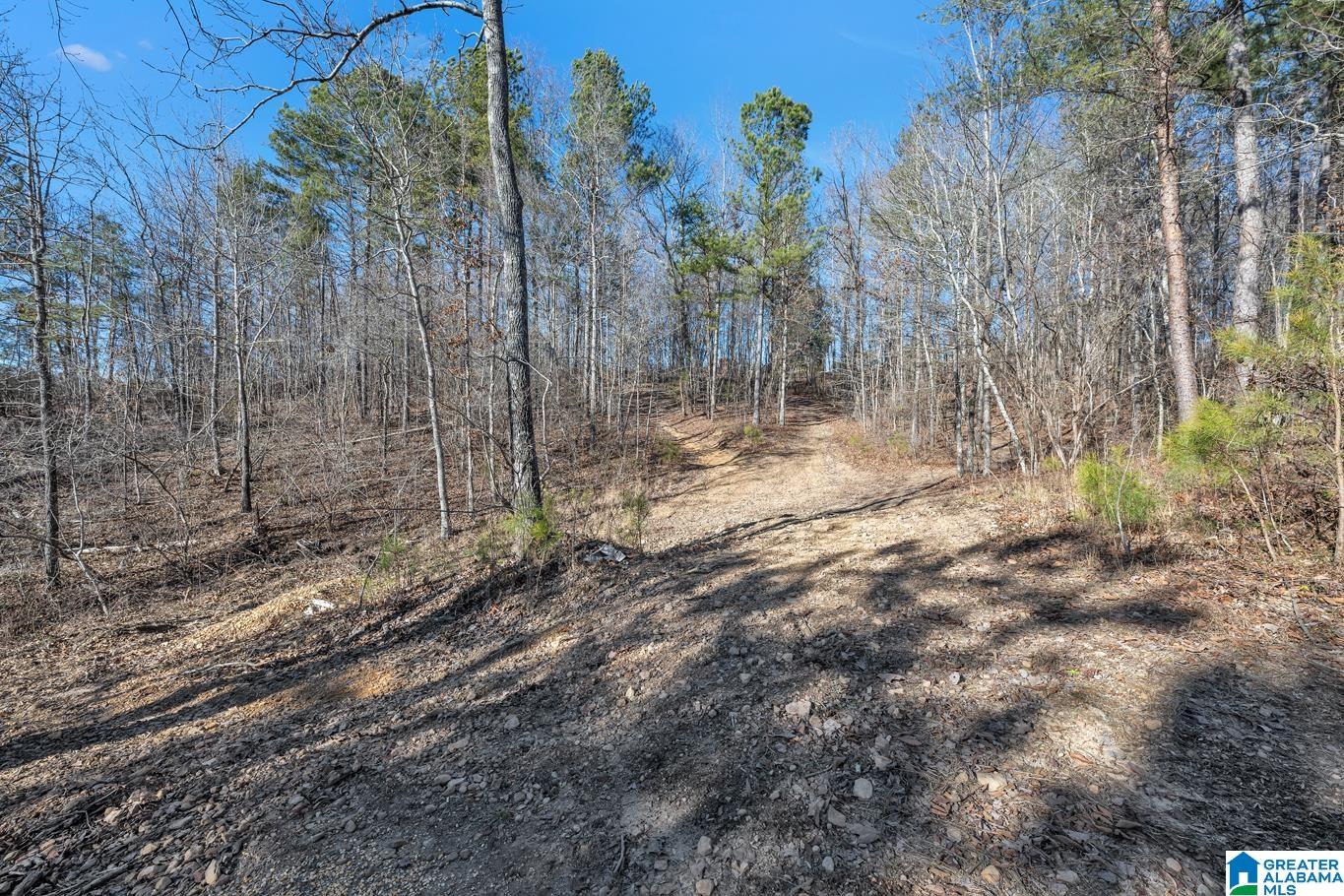 500 Lazy Y Road Hayden, AL 35079 - Photo 30 of 35