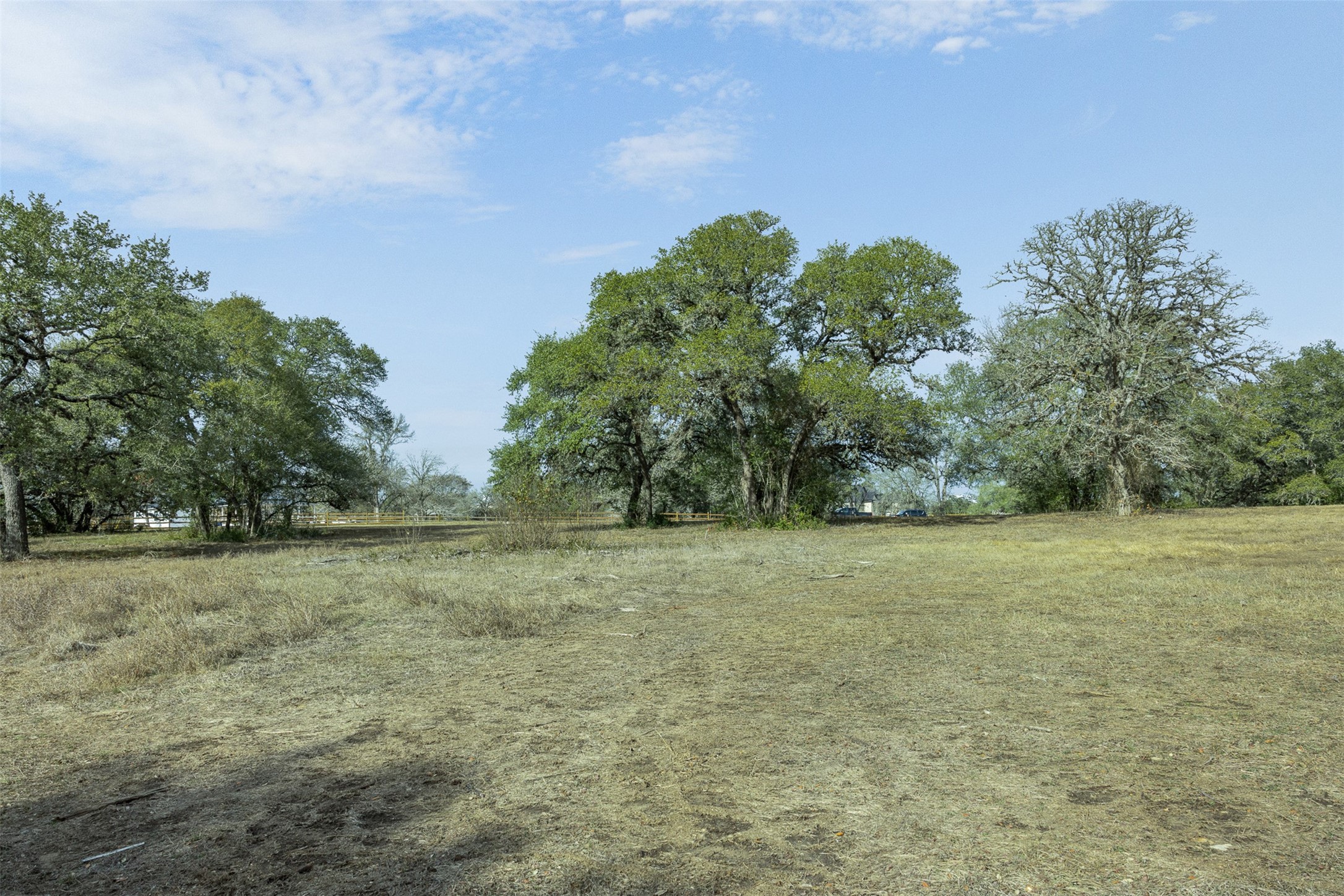 110 Drake Lane Round Top, TX 78954 - Photo 12 of 32 a view of a field with trees in background