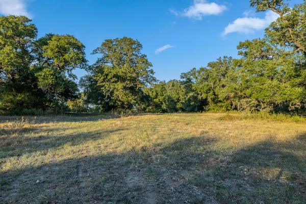110 Drake Lane Round Top, TX 78954 - Photo 2 of 32 a view of beach and yard