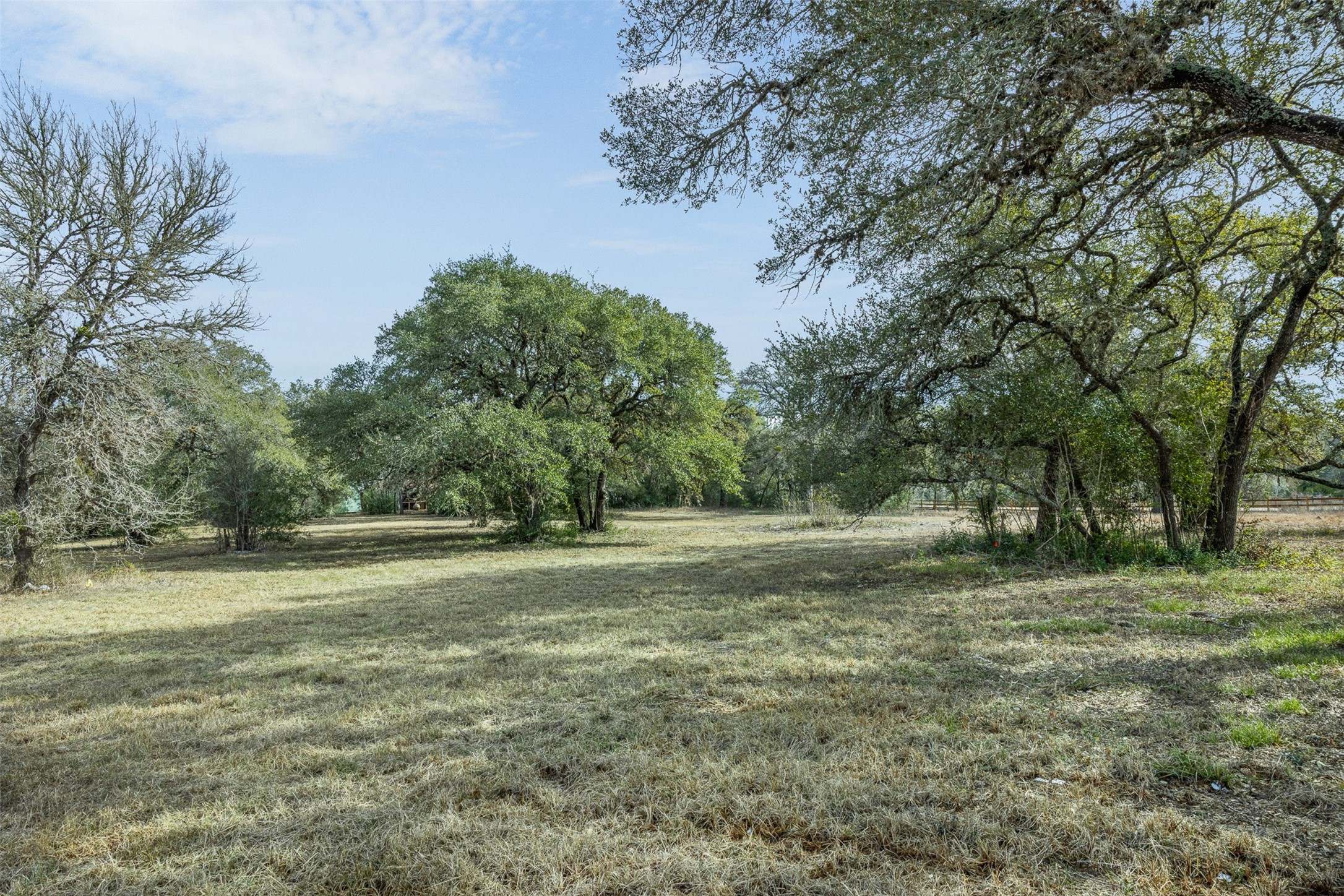 110 Drake Lane Round Top, TX 78954 - Photo 8 of 32 a view of a field with trees in the background