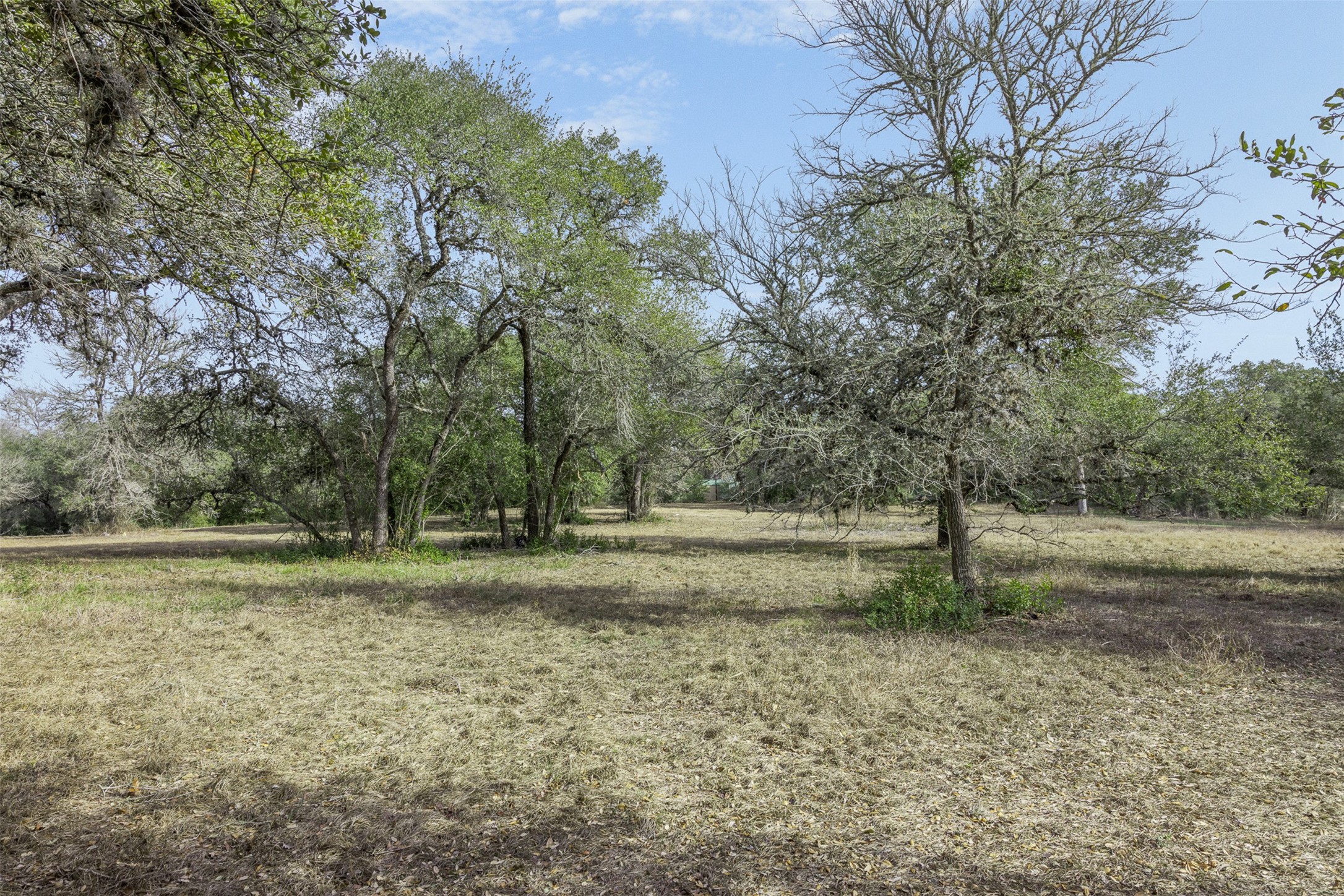110 Drake Lane Round Top, TX 78954 - Photo 10 of 32 a view of outdoor space and yard