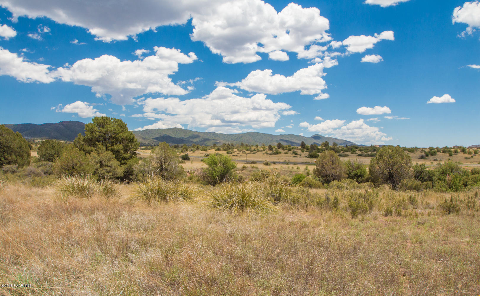 a view of a bunch of trees and houses