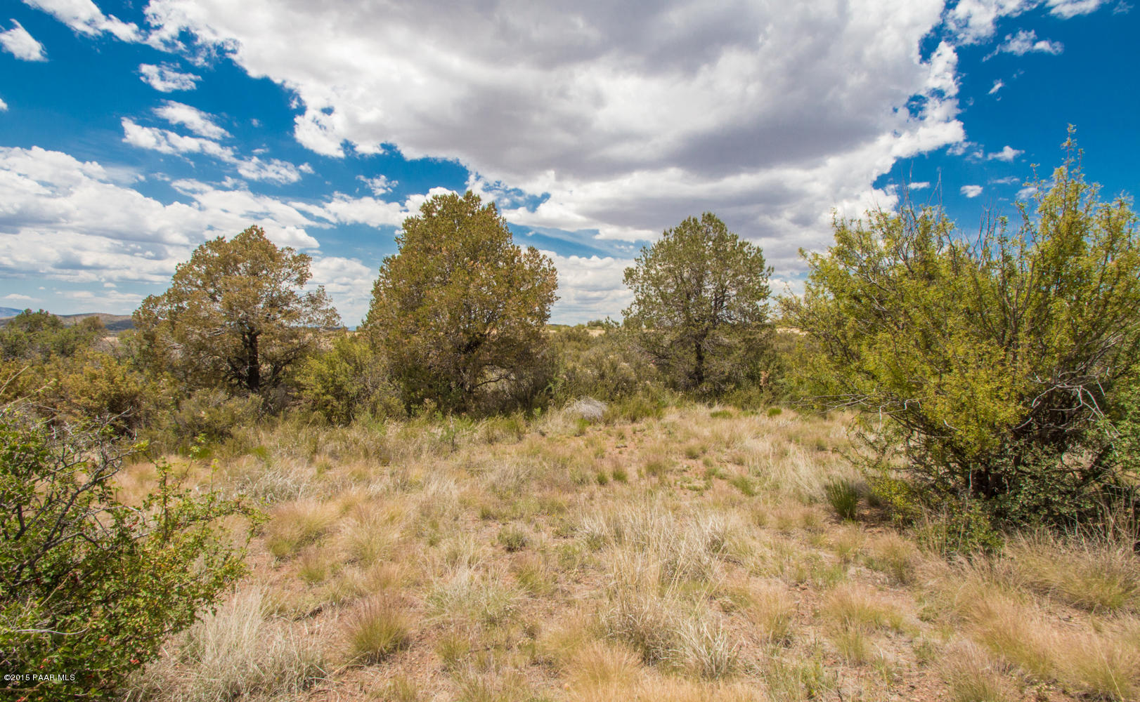B5 Hydro Ridge Road Prescott Valley, AZ 86315 - Photo 7 of 19 a view of a bunch of trees