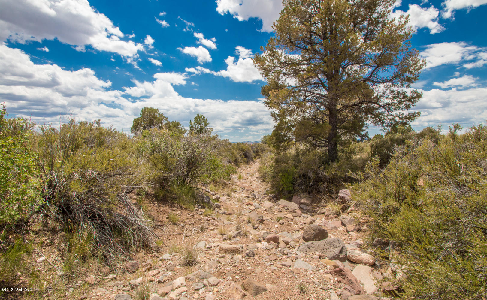 B5 Hydro Ridge Road Prescott Valley, AZ 86315 - Photo 8 of 19 a view of a yard with large tree