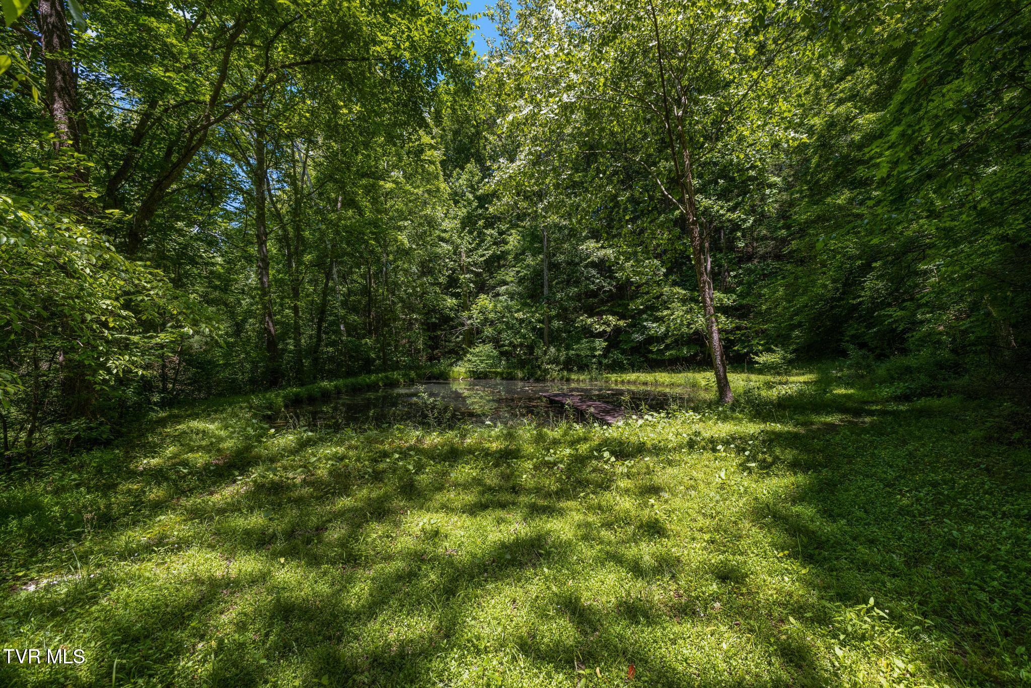 35000 Barrtree Lane Glade Spring, VA 24340 - Photo 74 of 79 IMG_8906