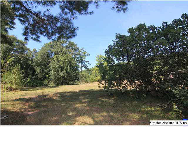 432 Del Rio Drive Birmingham, AL 35235 - Photo 16 of 17