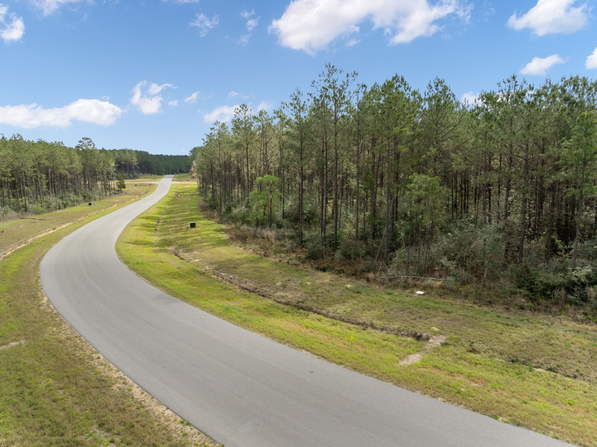 16039 Forest Mill Road Willis, TX 77378 - Photo 1 of 14