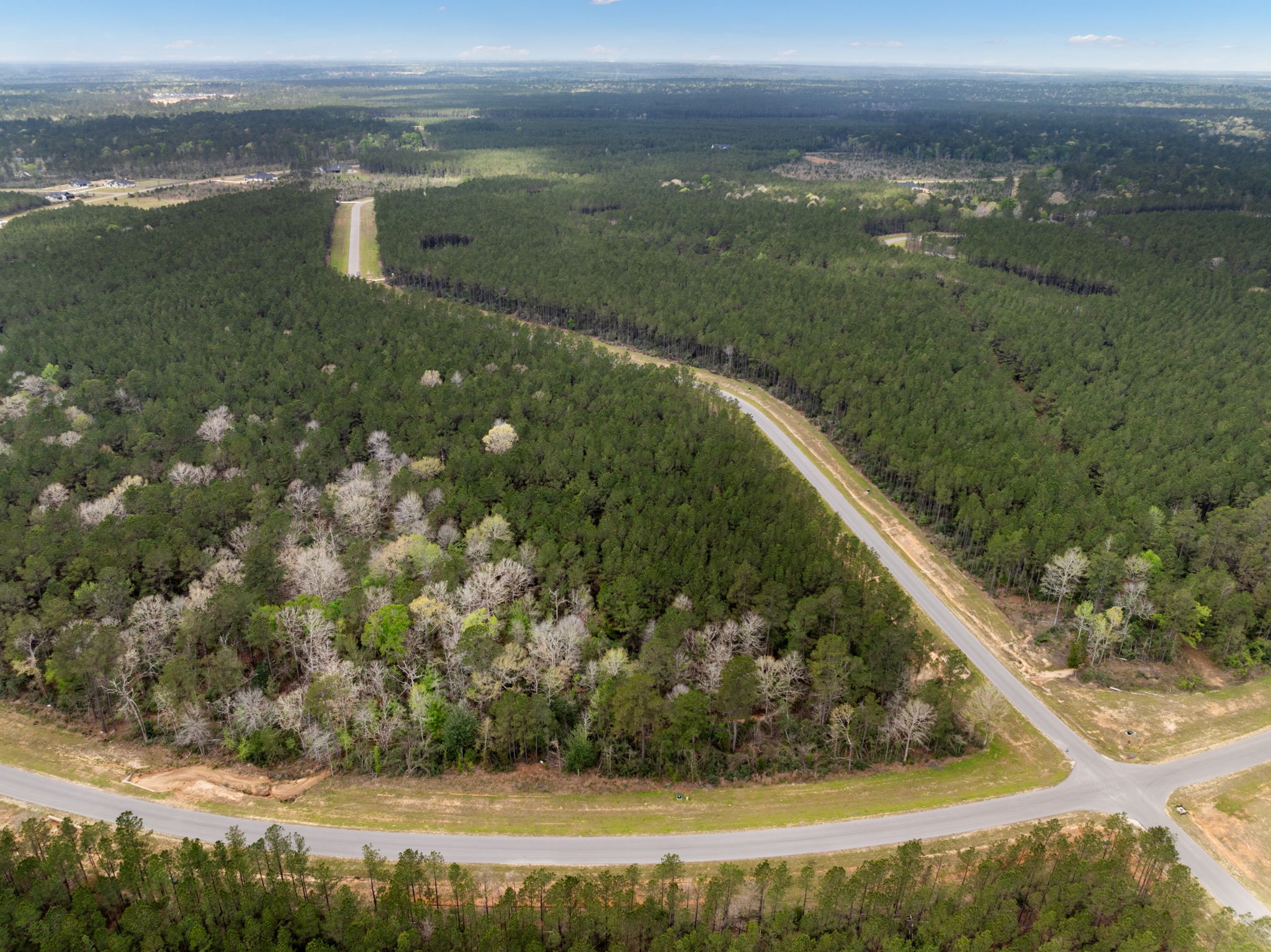 16039 Forest Mill Road Willis, TX 77378 - Photo 11 of 14