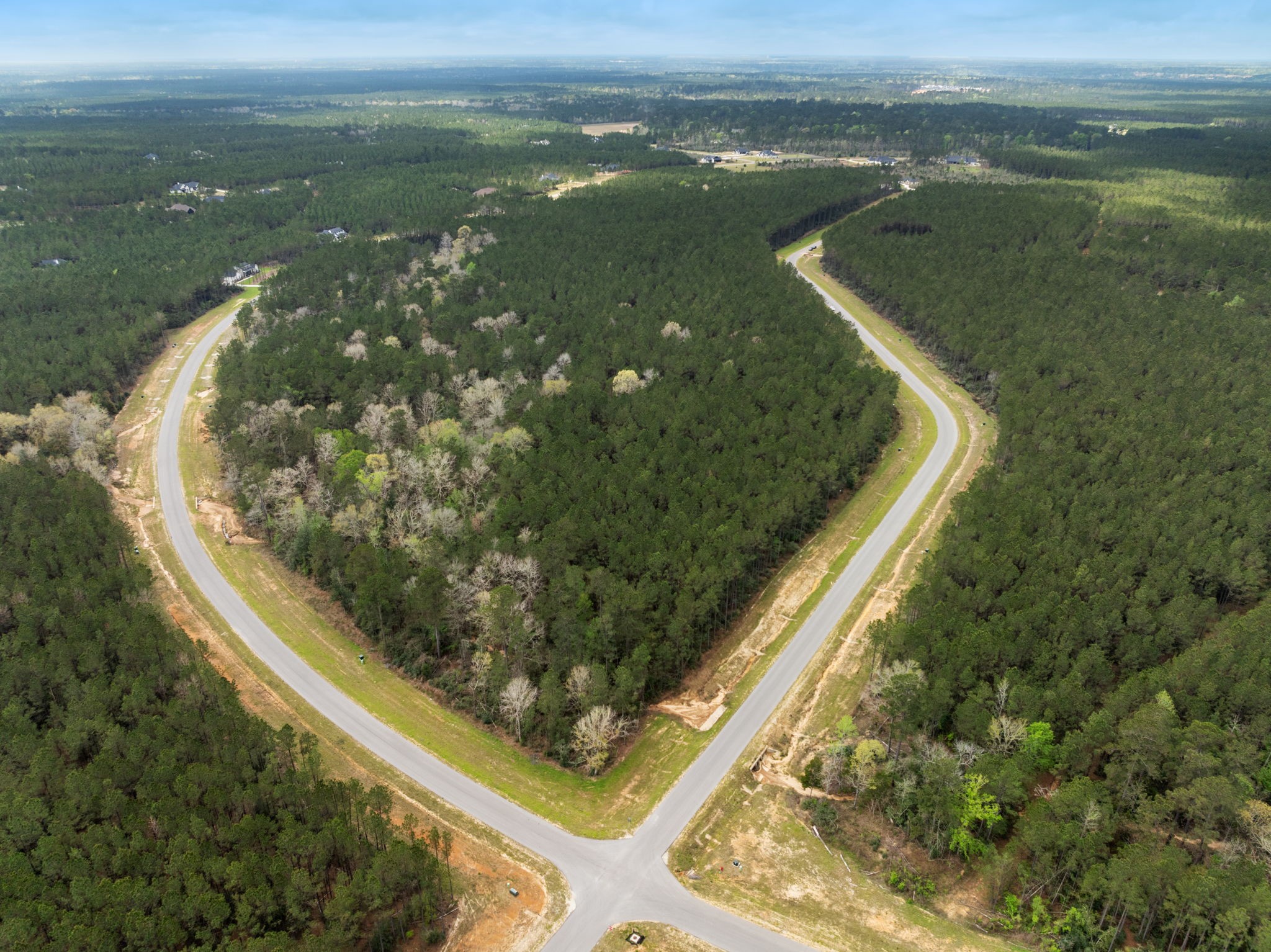 16039 Forest Mill Road Willis, TX 77378 - Photo 12 of 14