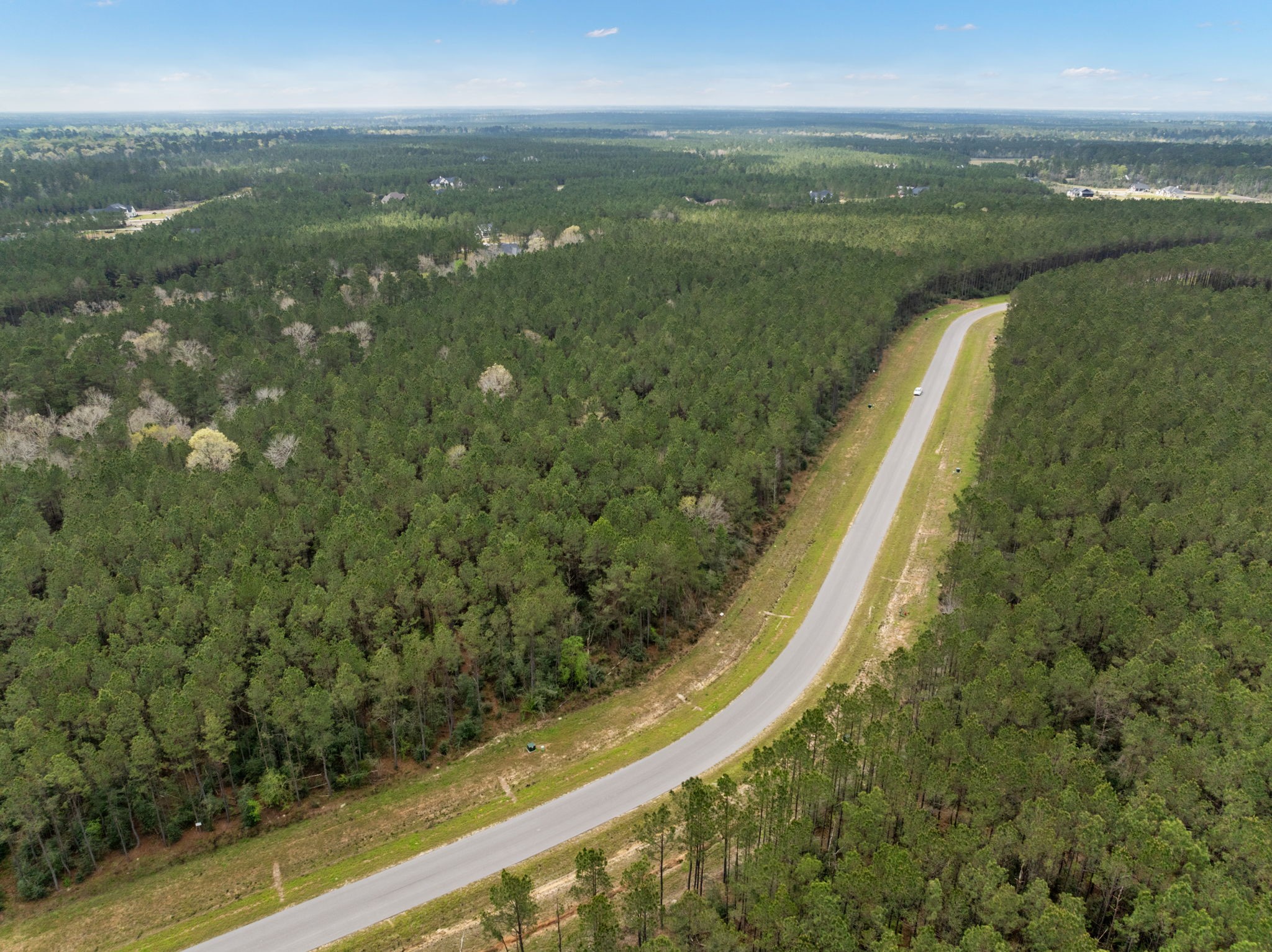 16039 Forest Mill Road Willis, TX 77378 - Photo 13 of 14