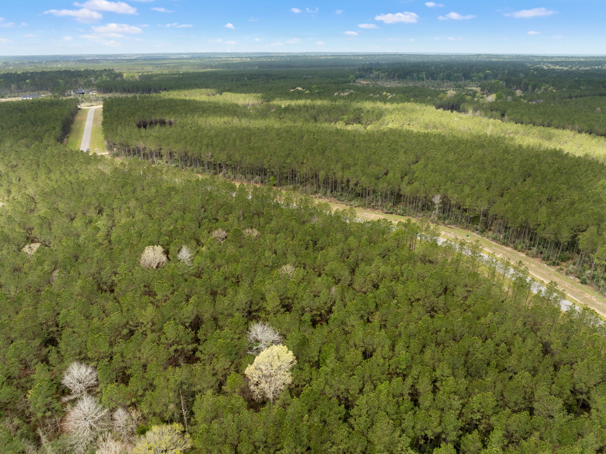 16039 Forest Mill Road Willis, TX 77378 - Photo 14 of 14