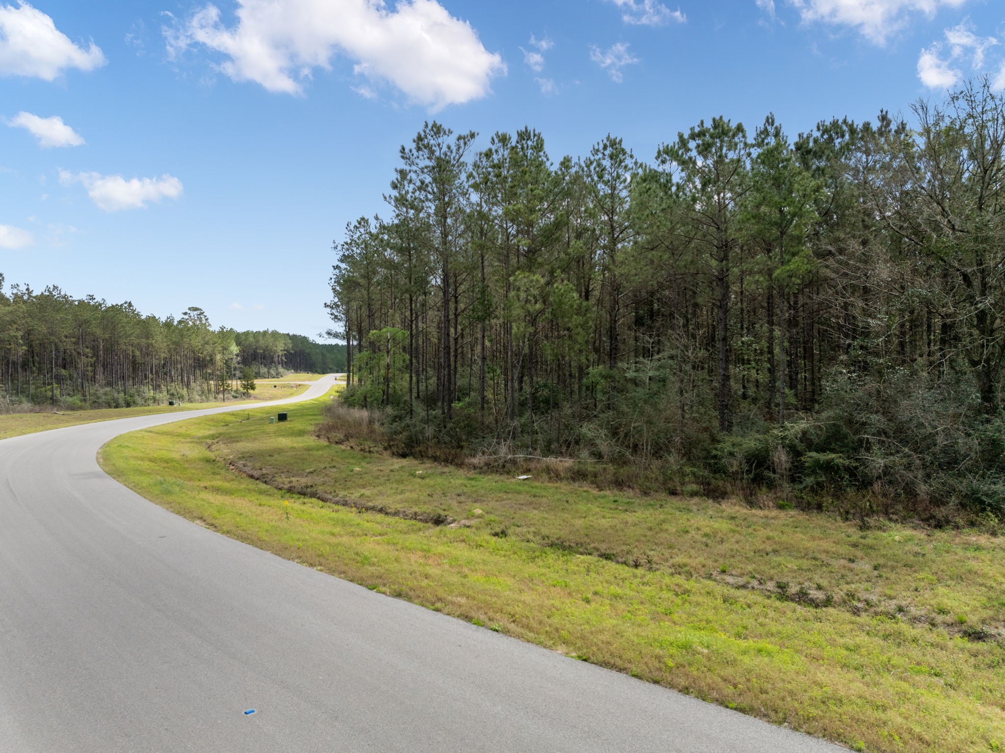 16039 Forest Mill Road Willis, TX 77378 - Photo 2 of 14