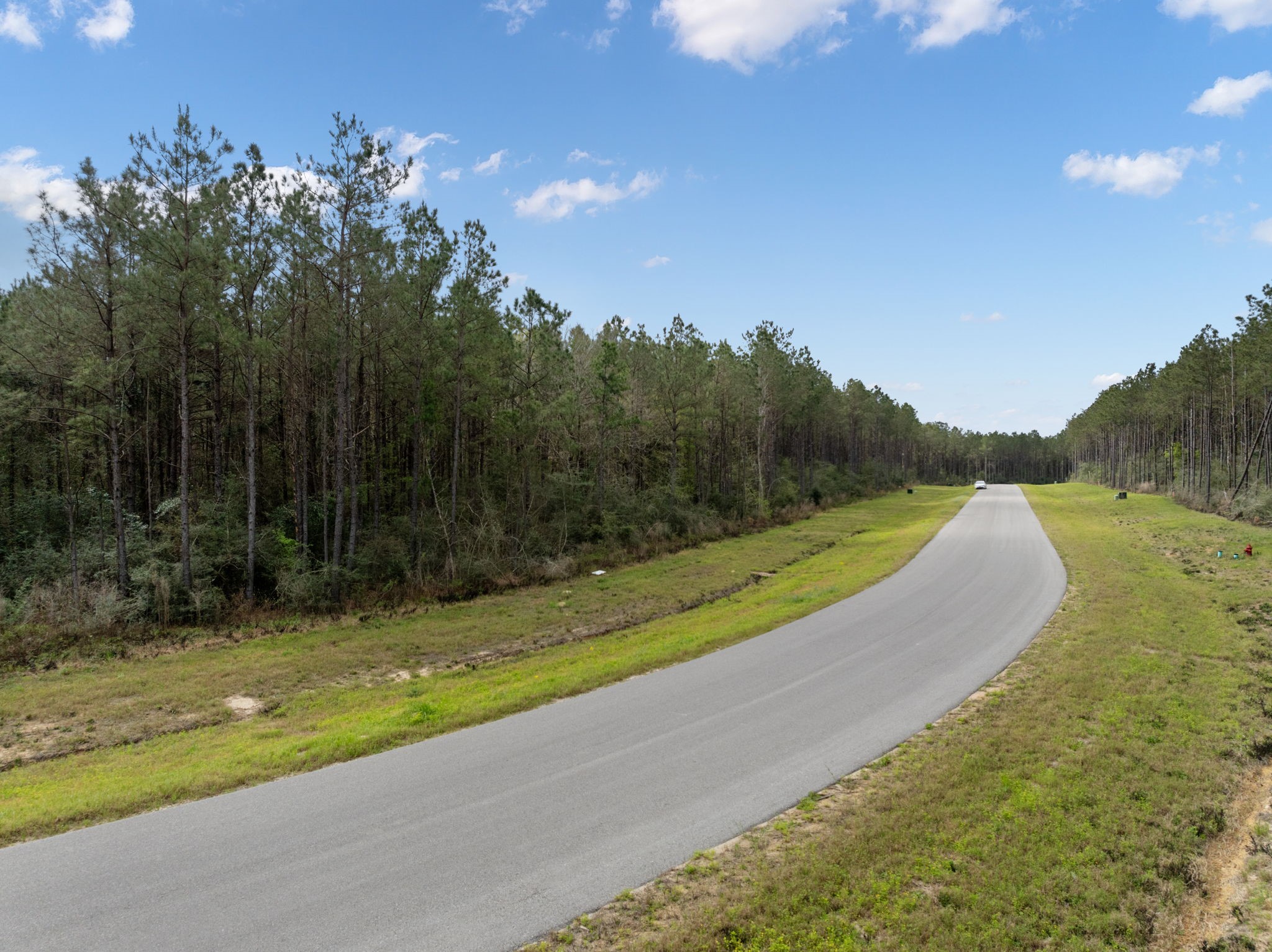 16039 Forest Mill Road Willis, TX 77378 - Photo 3 of 14