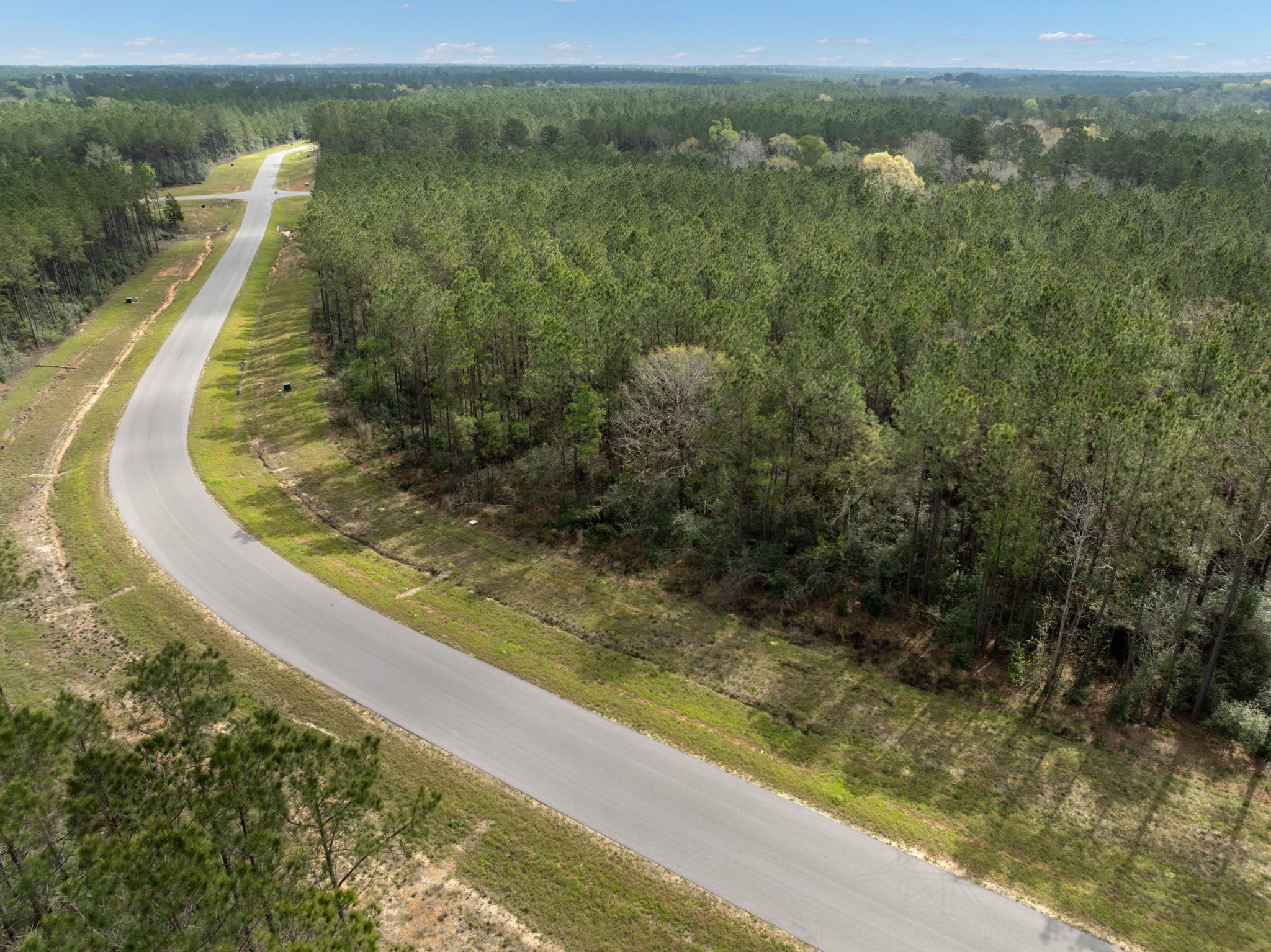 16039 Forest Mill Road Willis, TX 77378 - Photo 4 of 14