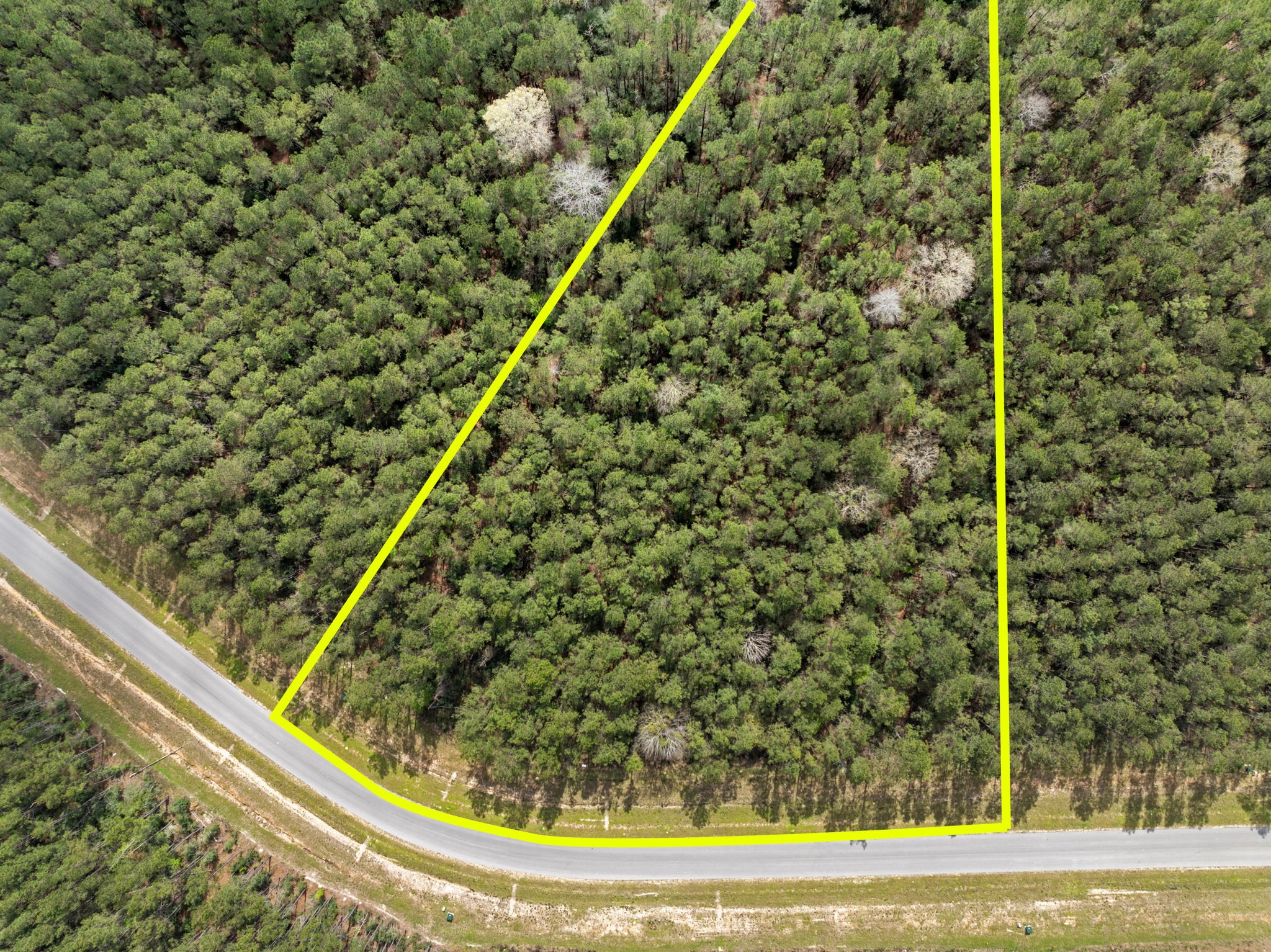 16039 Forest Mill Road Willis, TX 77378 - Photo 5 of 14