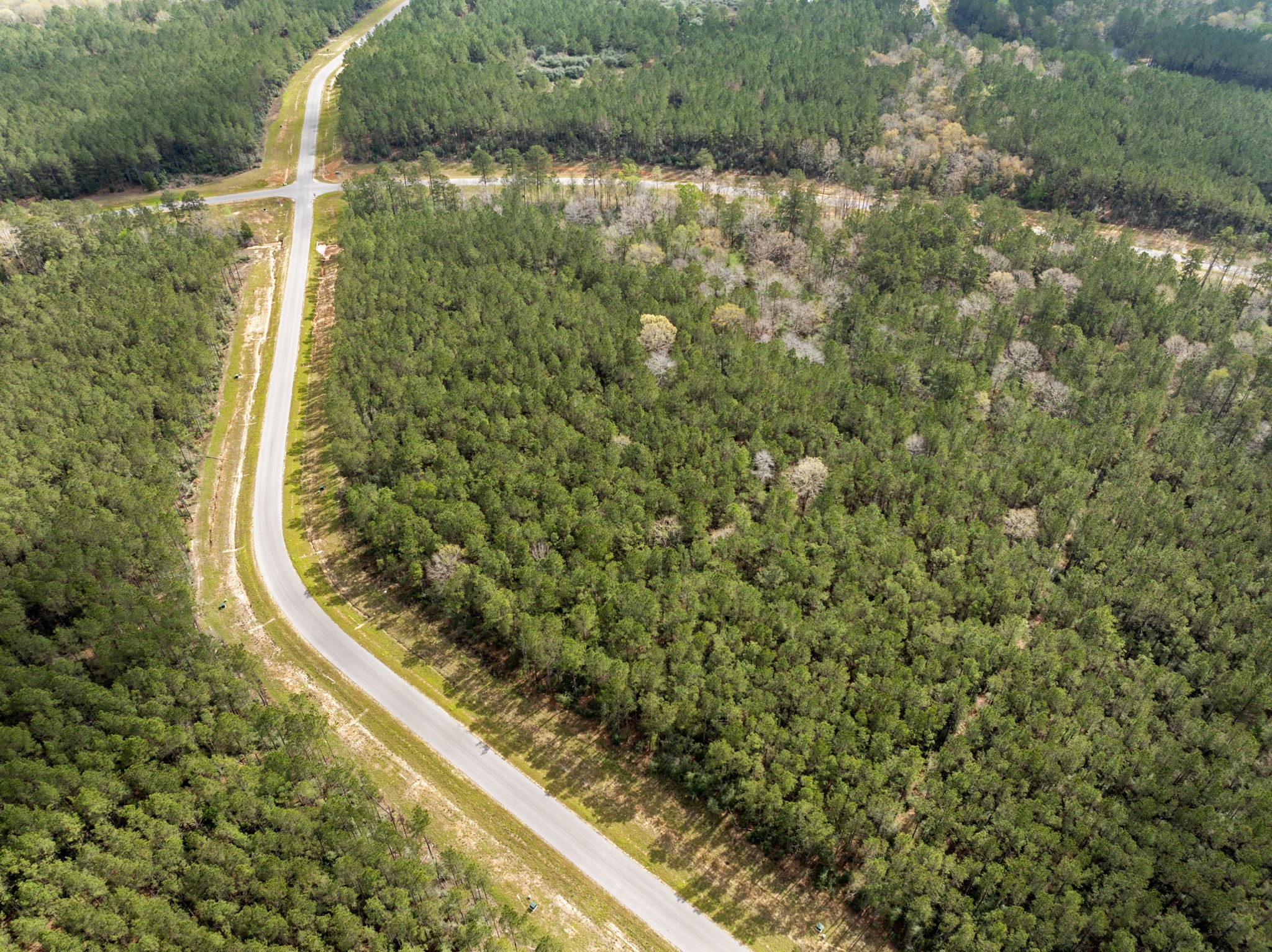 16039 Forest Mill Road Willis, TX 77378 - Photo 6 of 14