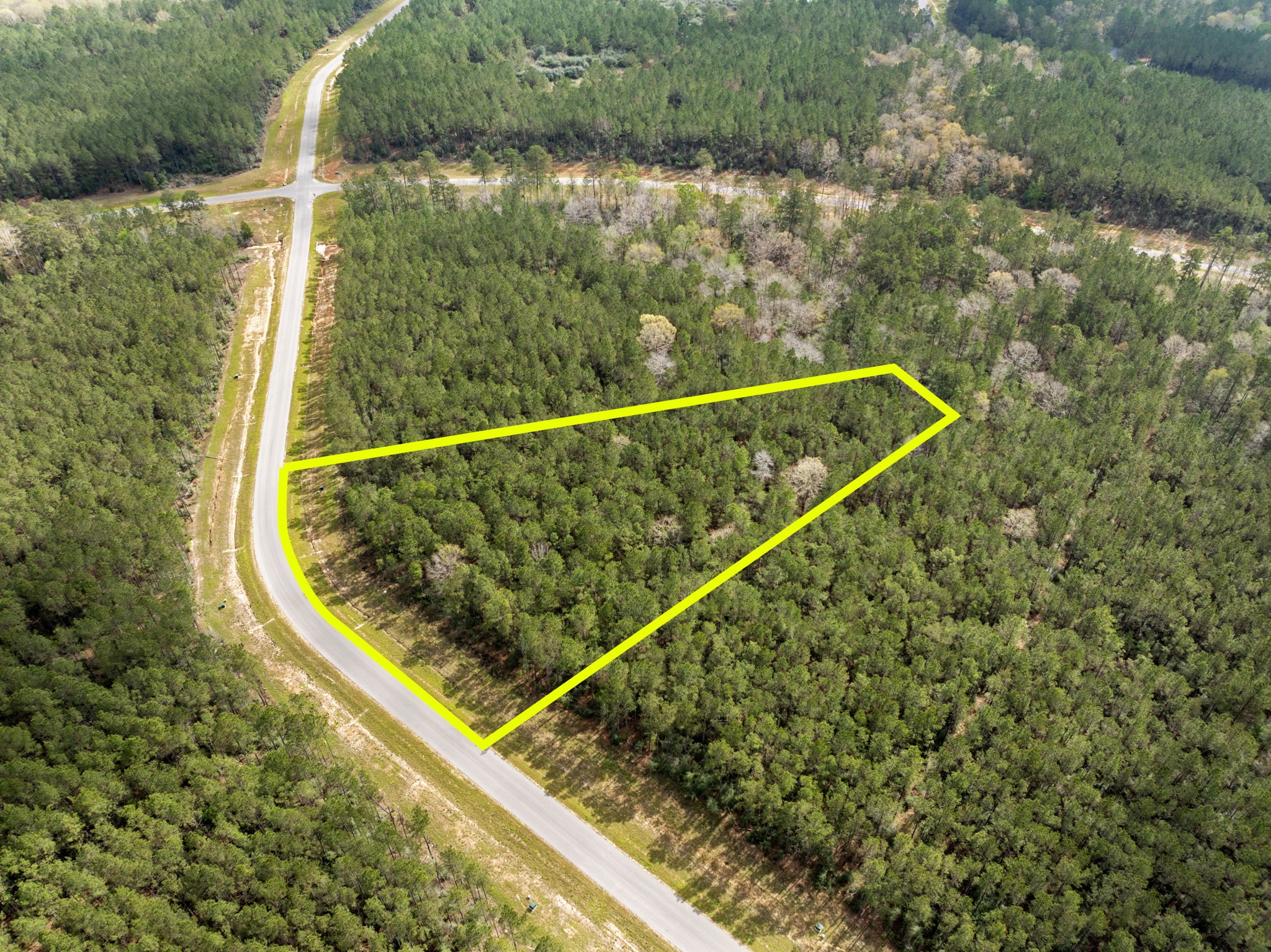 16039 Forest Mill Road Willis, TX 77378 - Photo 7 of 14