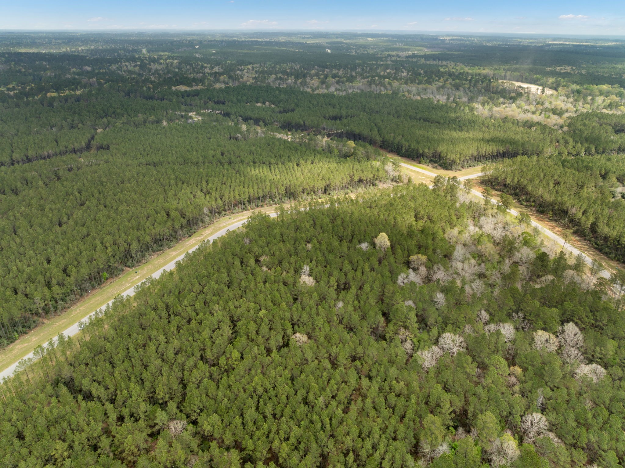 16039 Forest Mill Road Willis, TX 77378 - Photo 9 of 14