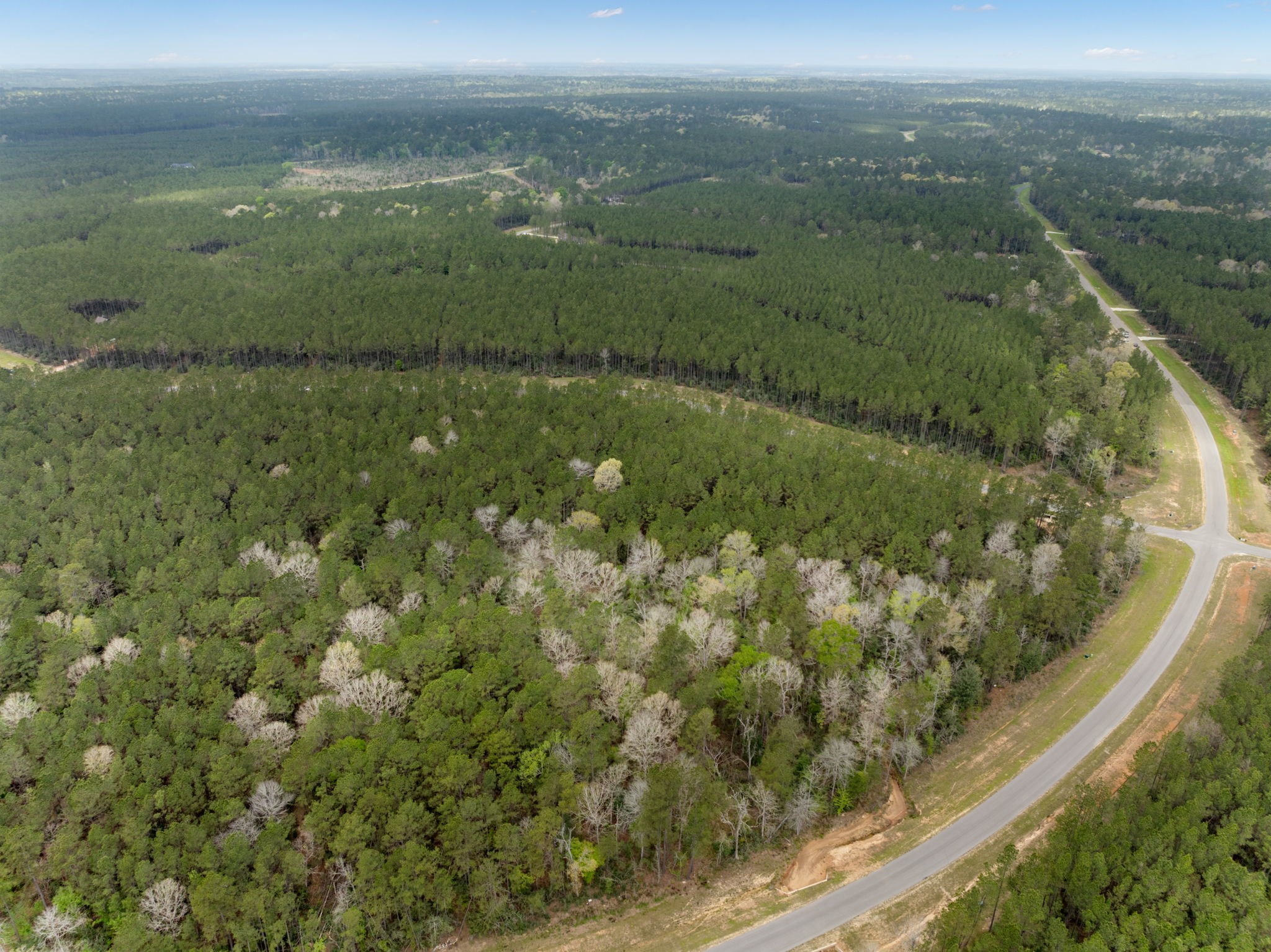 16039 Forest Mill Road Willis, TX 77378 - Photo 10 of 14