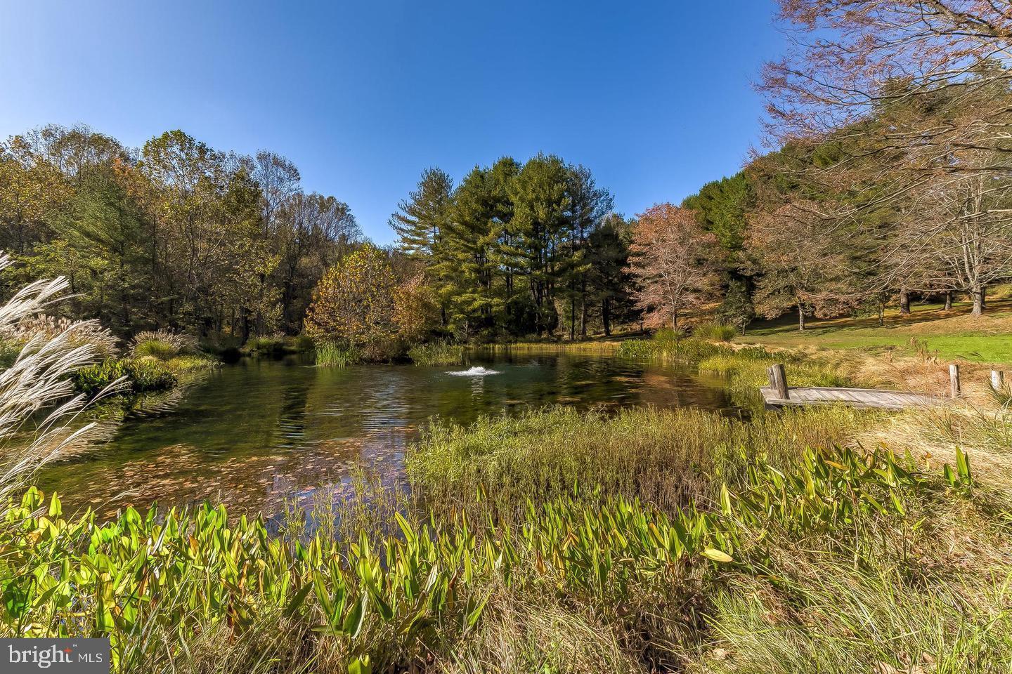 12500 Ivy Mill Road Reisterstown, MD 21136 - Photo 11 of 15