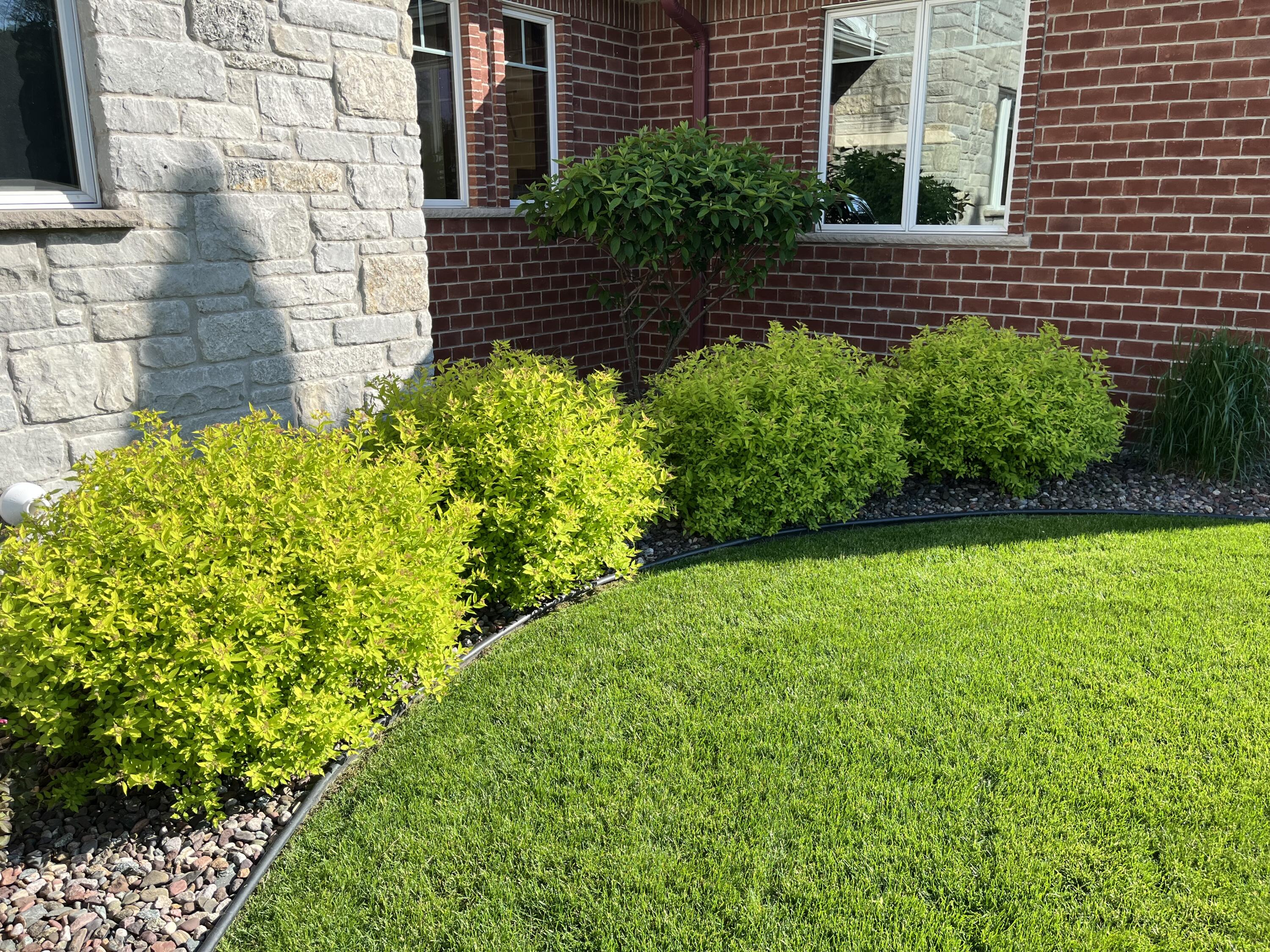 11105 Meadow Ridge Road Whitelaw, WI 54247 - Photo 104 of 126 Additional View 2