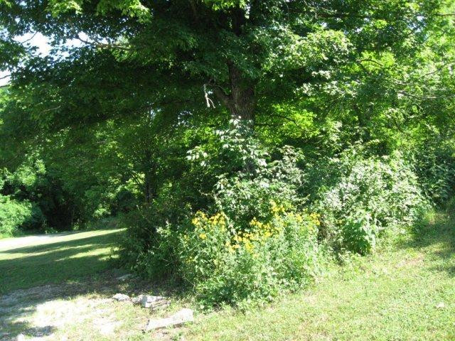 2295 Hifner Road Versailles, KY 40383 - Photo 7 of 52 Photo 7
