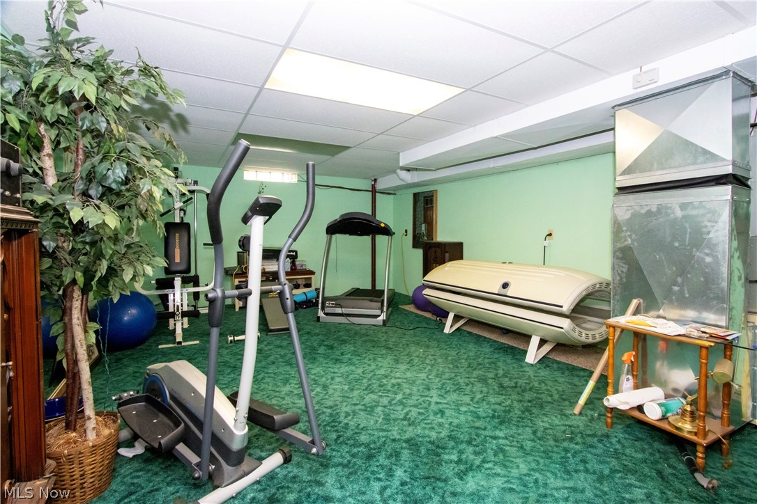 1043 North Honeytown Road Wooster, OH 44691 - Photo 19 of 46 Spacious room featuring green carpeting and light green walls