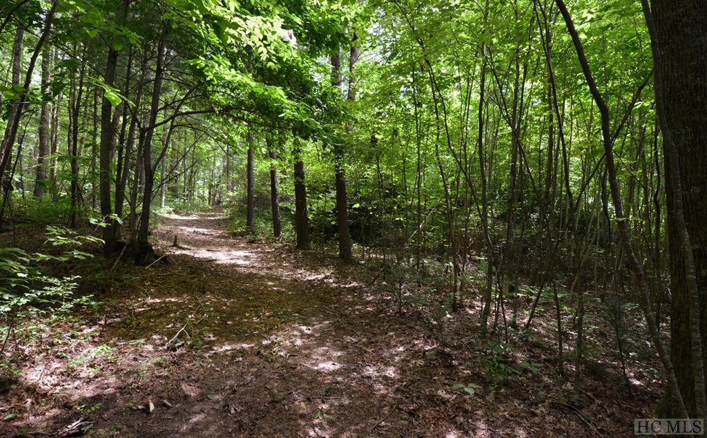 Off Rock House Road Highlands, NC 28741 - Photo 1 of 8 Gallery Image 1