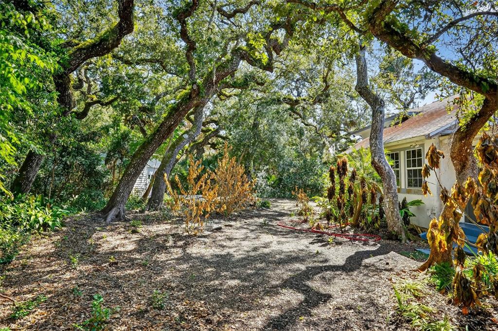 4875 Sailfish Drive Ponce Inlet, FL 32127 - Photo 49 of 60 a view of outdoor space and yard