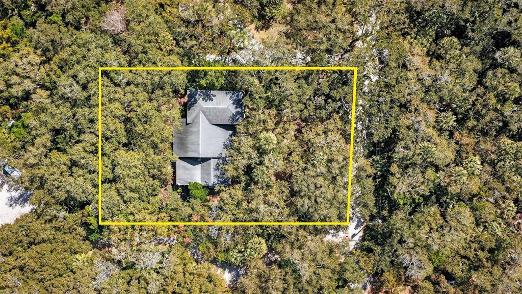 4875 Sailfish Drive Ponce Inlet, FL 32127 - Photo 55 of 60