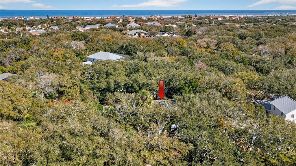 4875 Sailfish Drive Ponce Inlet, FL 32127 - Photo 56 of 60 an aerial view of a house with a yard and mountain view in back
