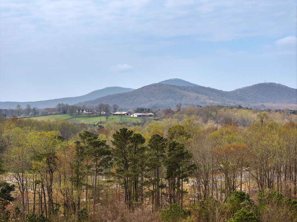 117 Pinnacle Way Jasper, GA 30143 - Photo 33 of 33