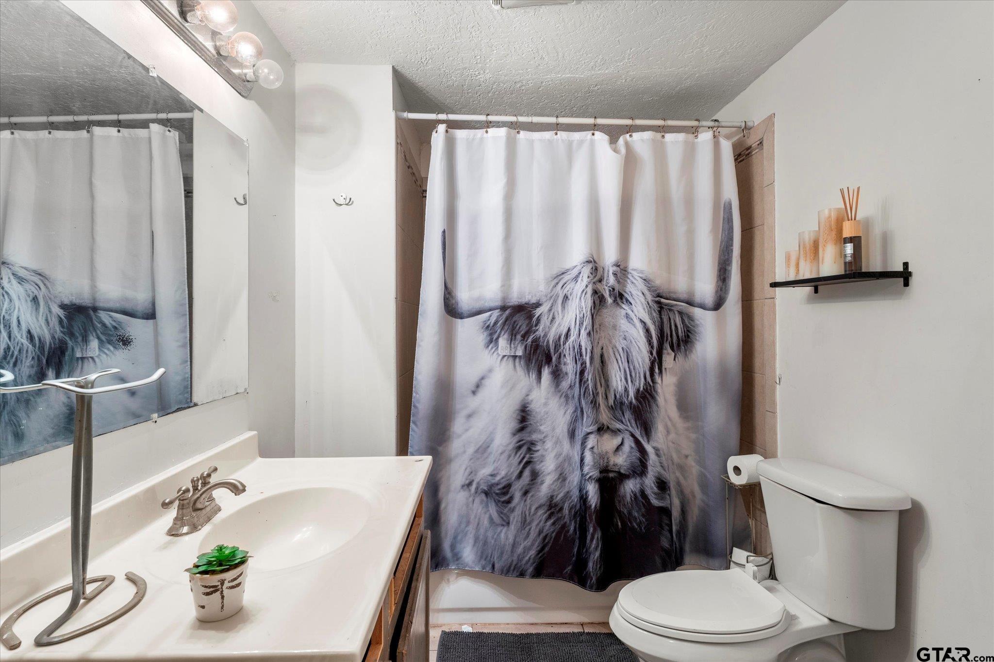 1108 Merritt Avenue Mount Pleasant, TX 75455 - Photo 12 of 17 a bathroom with a sink a toilet and shower