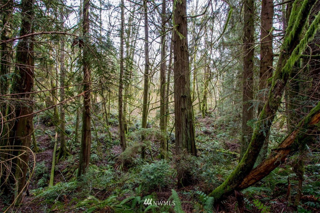 8929 Banner Road Southeast Port Orchard, WA 98367 - Photo 24 of 25 Gallery Image 24