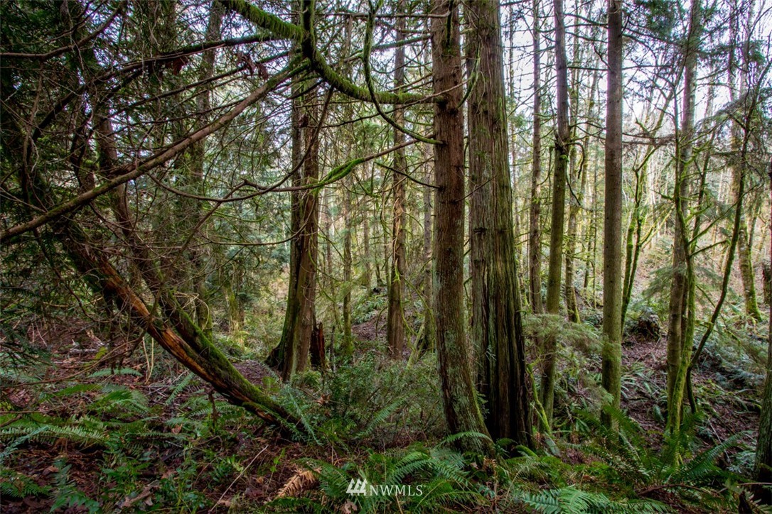 8929 Banner Road Southeast Port Orchard, WA 98367 - Photo 25 of 25 Gallery Image 25