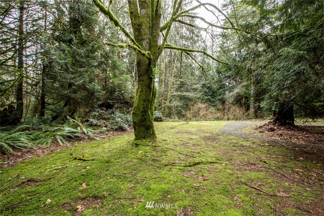 8929 Banner Road Southeast Port Orchard, WA 98367 - Photo 7 of 25 Gallery Image 7