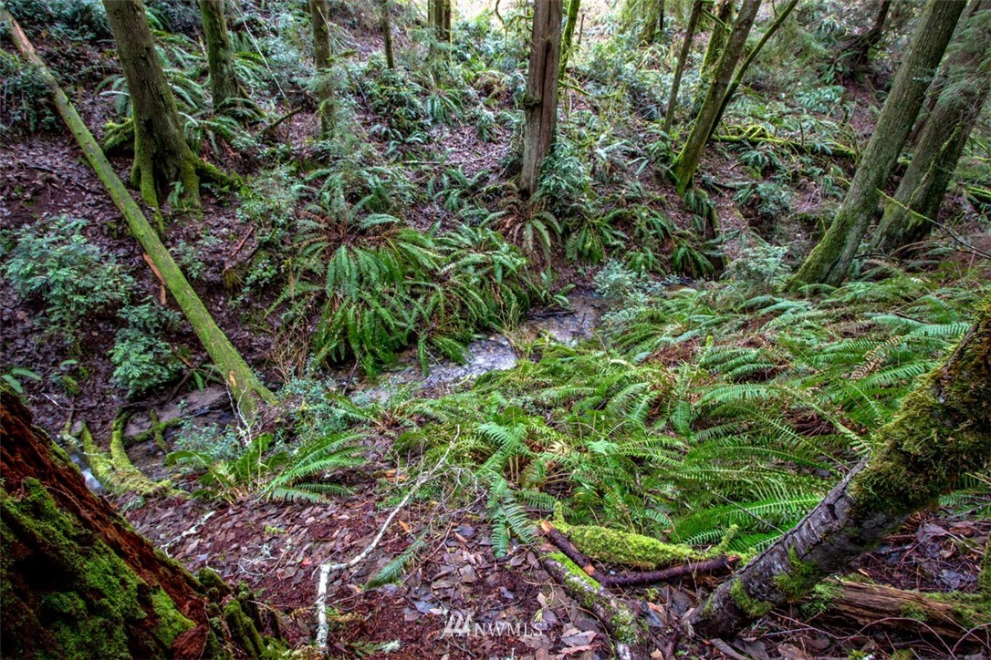 8929 Banner Road Southeast Port Orchard, WA 98367 - Photo 9 of 25 Gallery Image 9