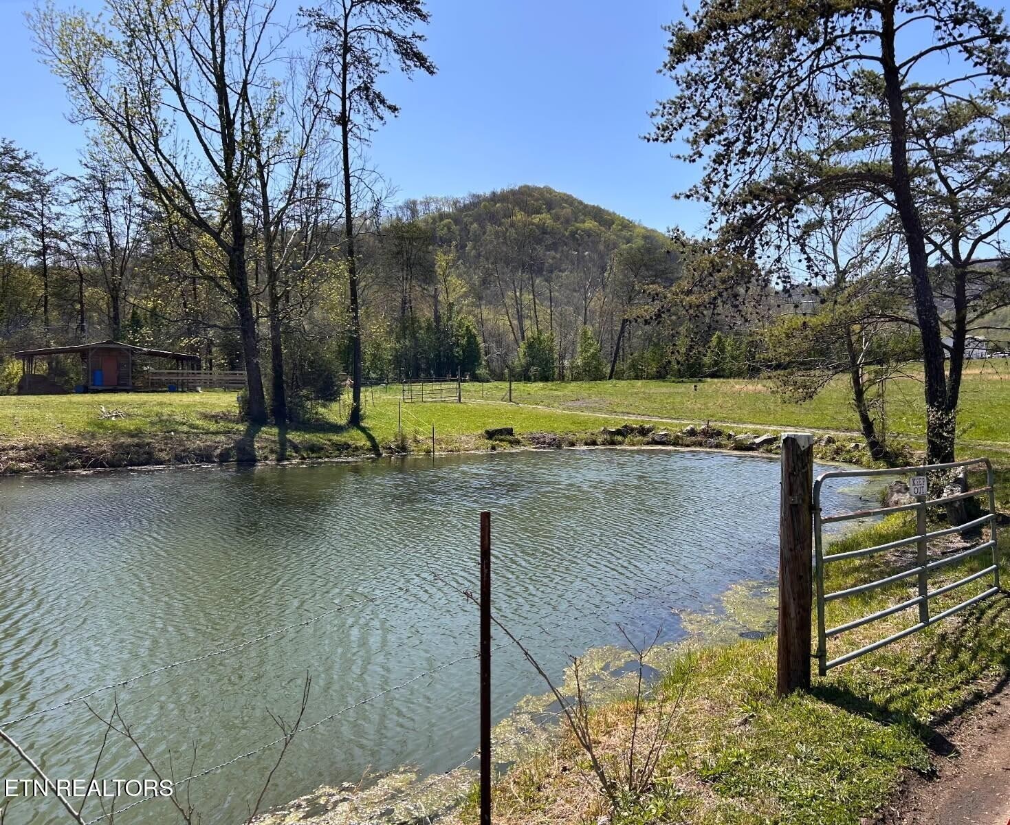 275 Republican Hill Road Newcomb, TN 37819 - Photo 1 of 34 Gallery Image 1