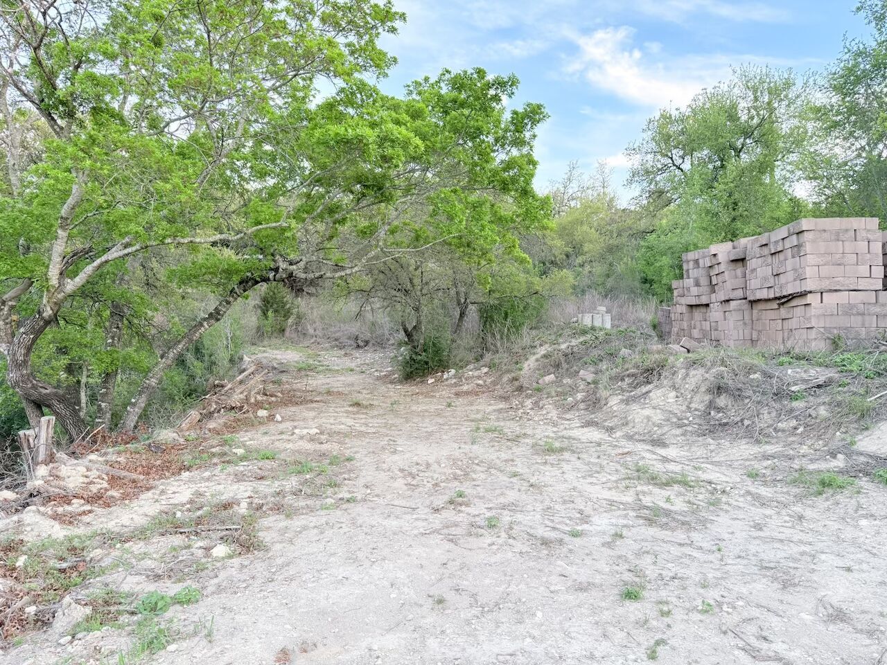 2322 Little Beaver Trail Austin, TX 78734 - Photo 29 of 29 a backyard of a house with lots of trees
