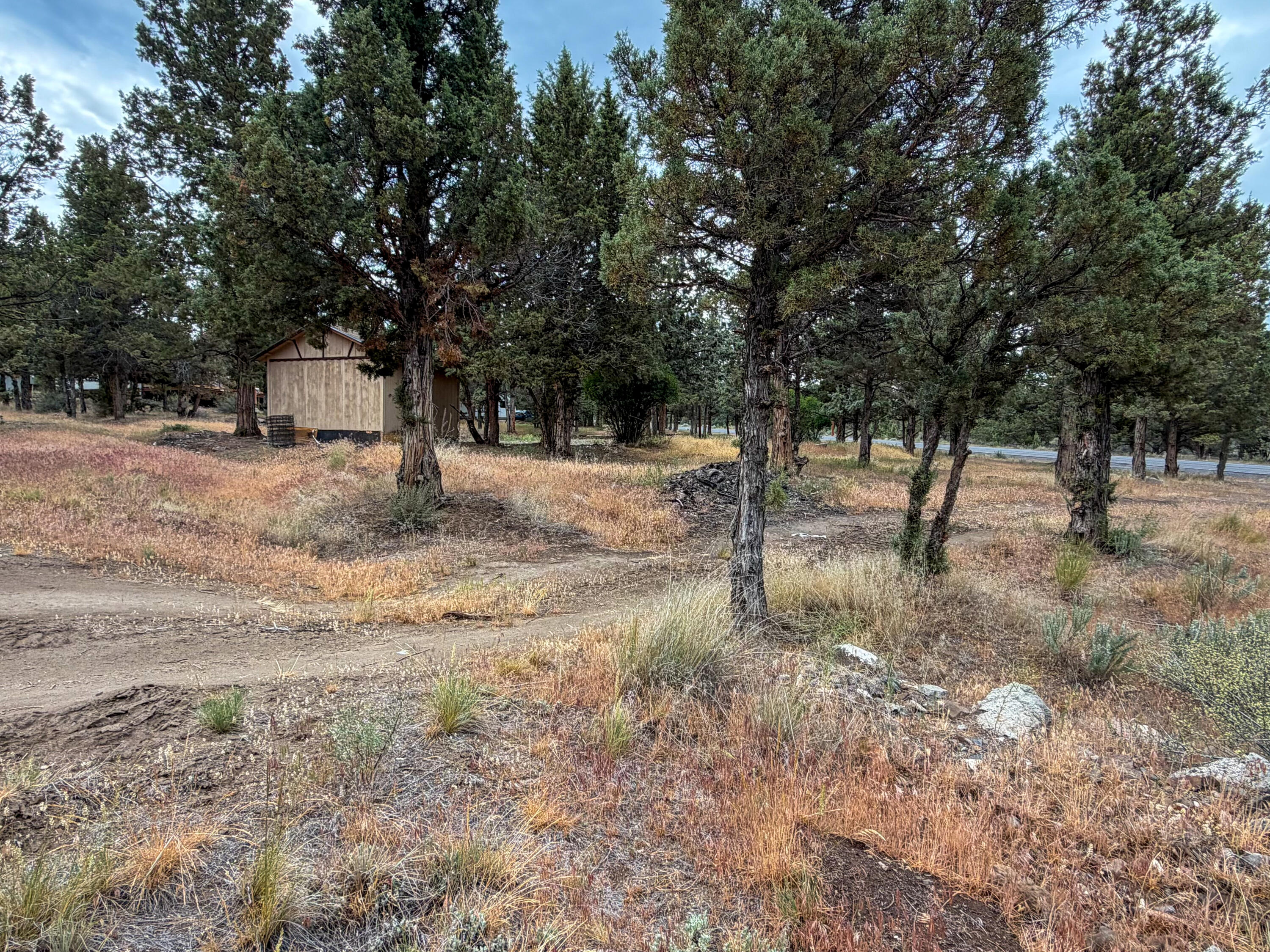 14375 Southeast Juniper Canyon Road Prineville, OR 97754 - Photo 6 of 10 a view of empty space with large trees