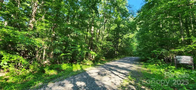 a view of backyard with plants and trees
