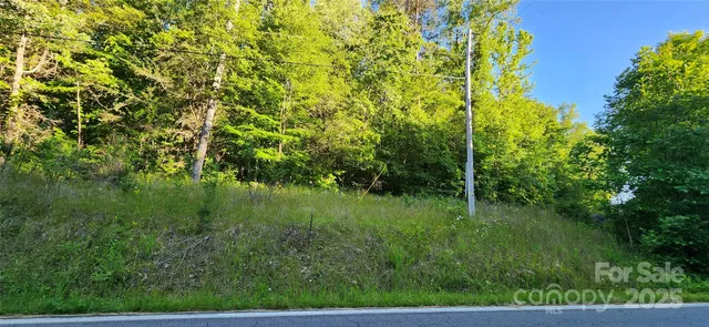 a view of a lush green space