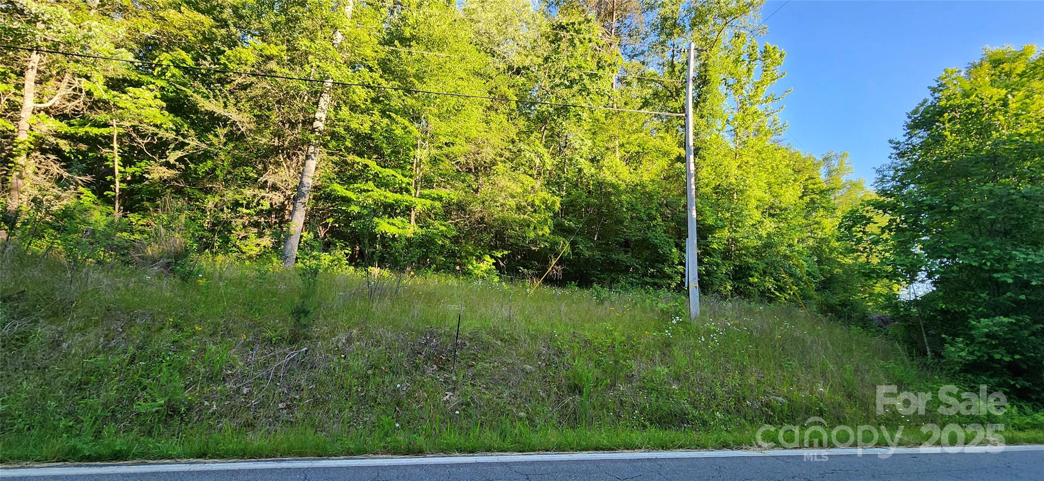 0 Buffalo Creek Road, Unit 74 Lake Lure, NC 28746 - Photo 12 of 29 a view of a lush green space