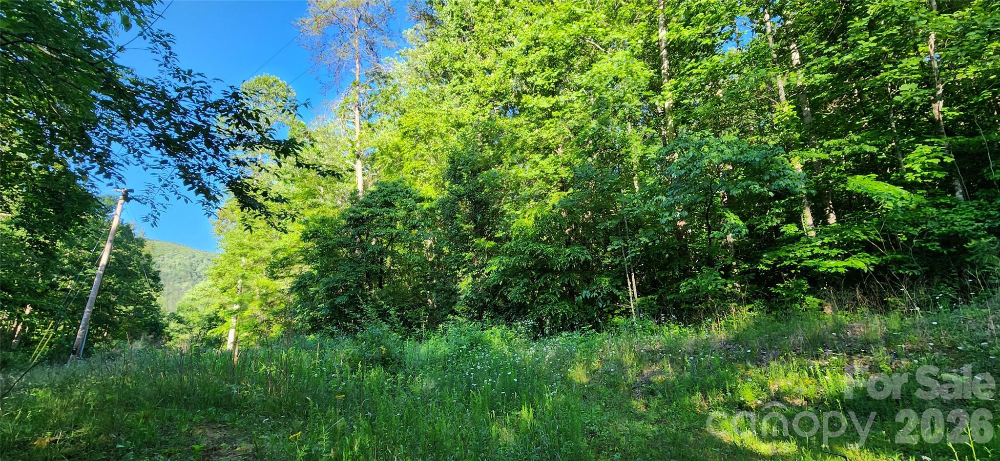 0 Buffalo Creek Road, Unit 74 Lake Lure, NC 28746 - Photo 12 of 48