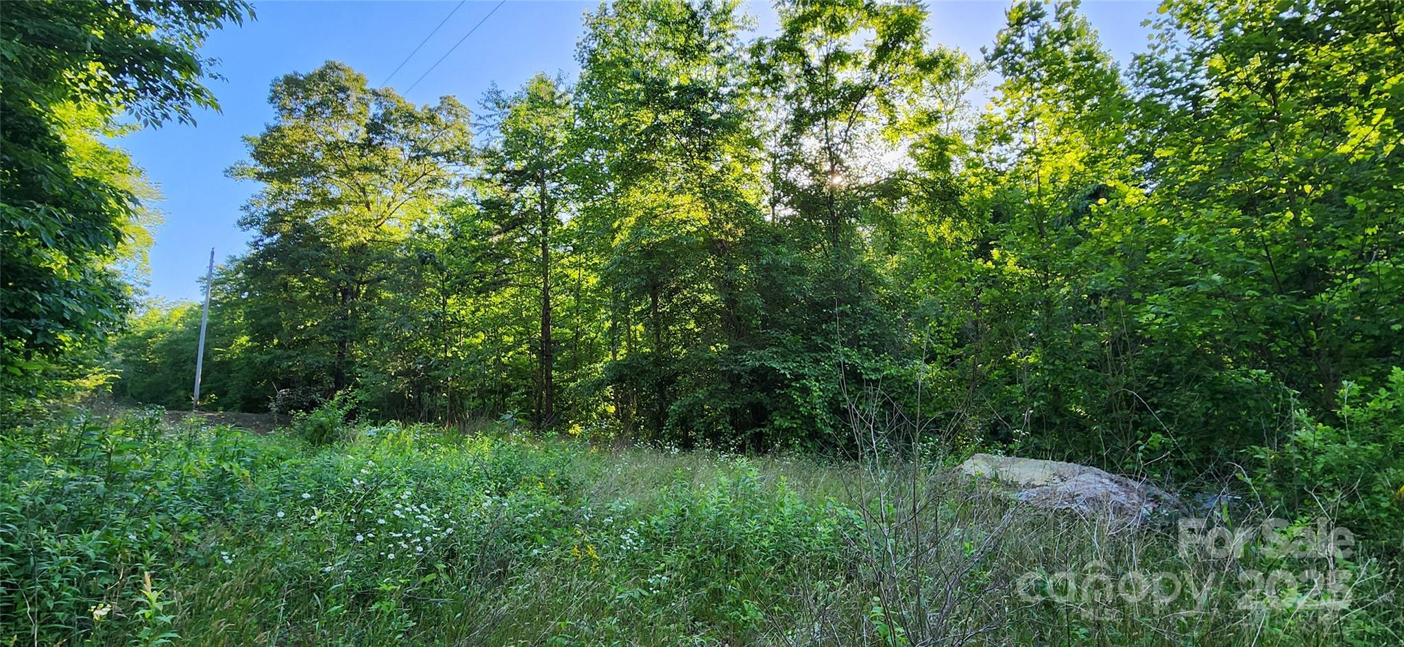0 Buffalo Creek Road, Unit 74 Lake Lure, NC 28746 - Photo 13 of 29 a view of a lush green space