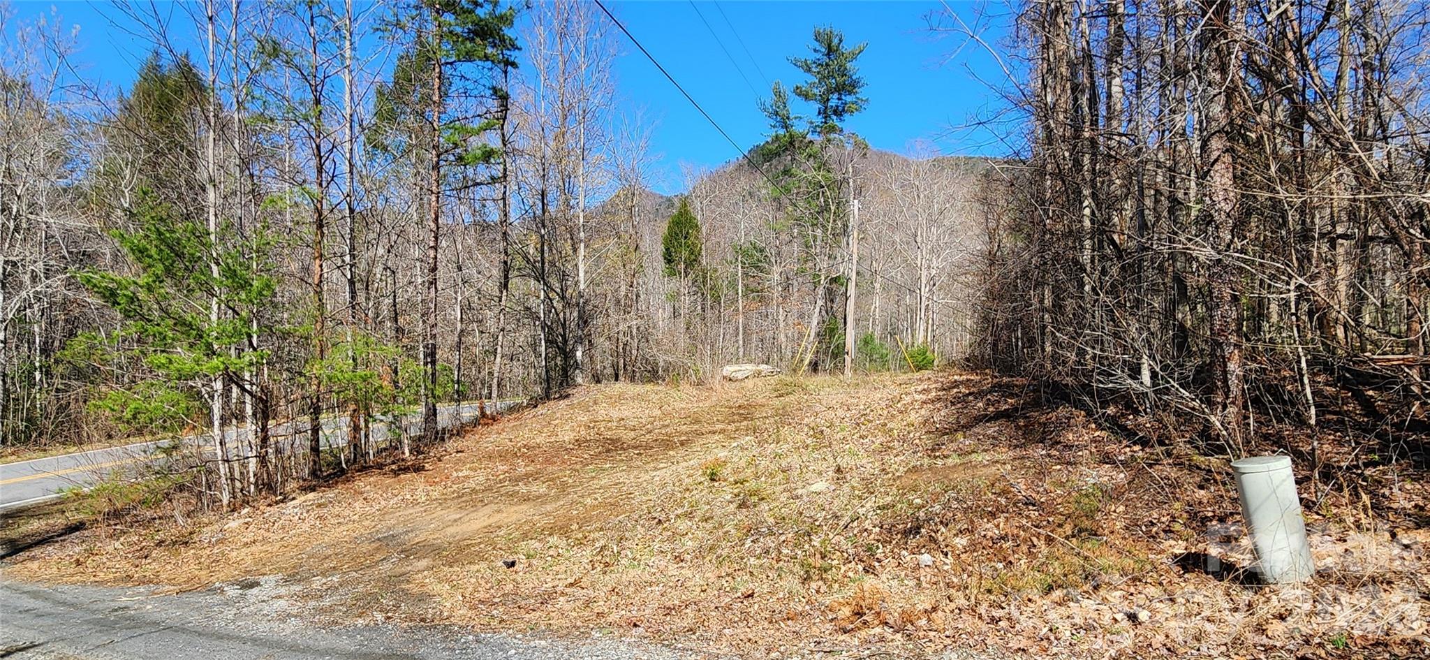 0 Buffalo Creek Road, Unit 74 Lake Lure, NC 28746 - Photo 14 of 48