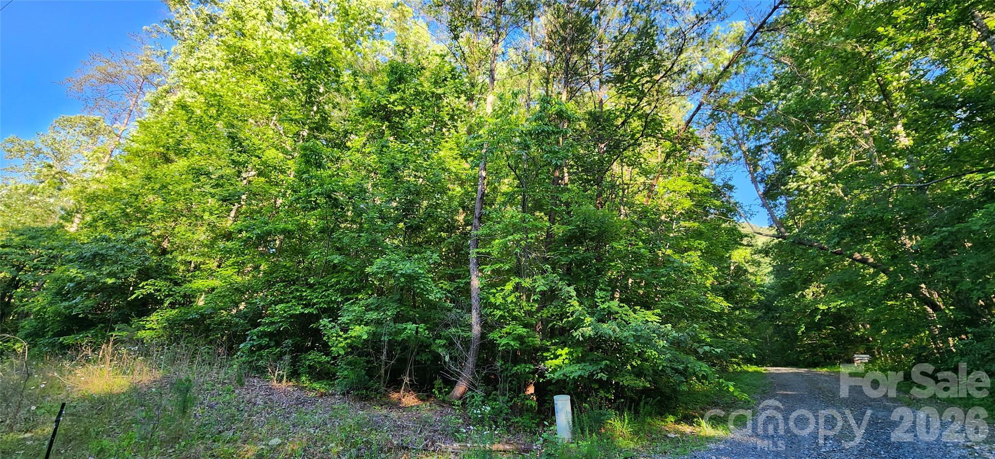 0 Buffalo Creek Road, Unit 74 Lake Lure, NC 28746 - Photo 15 of 48