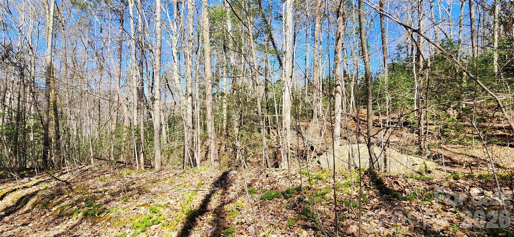 0 Buffalo Creek Road, Unit 74 Lake Lure, NC 28746 - Photo 16 of 48